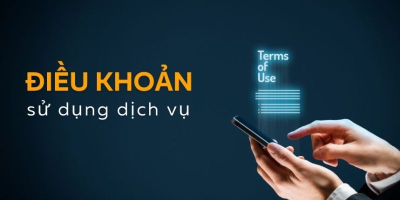 Quyền lợi và vai trò của người dùng khi theo dõi trực tiếp bóng đá