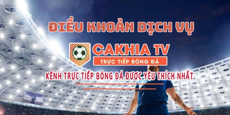 Vai trò của việc thiết lập điều khoản dịch vụ