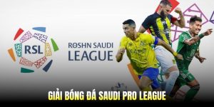 Giải bóng đá Saudi Pro League ảnh đại diện