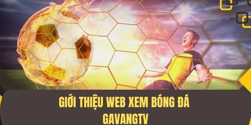 Giới thiệu về trang web xem bóng đá trực tiếp