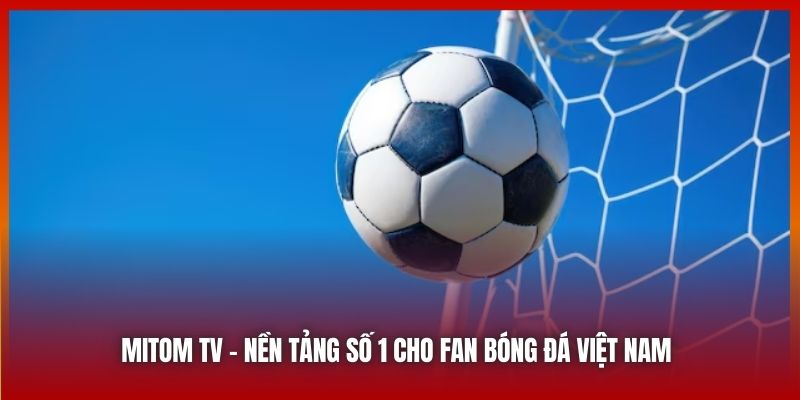 Mitom TV | Nơi Đam Mê Bóng Đá Được Thỏa Sức Chinh Phục 2025